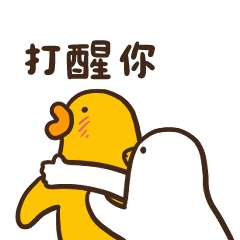 伸縮自如的雞與鴨 打鬧日常