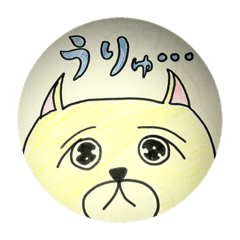 Wafu the Japanese shiba dog 2
