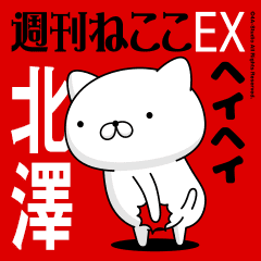 Move "KITAZAWA" name sticker feature 2