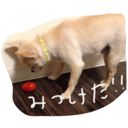 YZU YZU