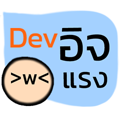 Dev Developer