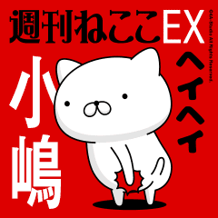 Move "KOJIMA" name sticker feature 2