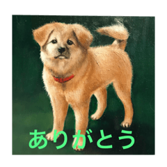 hanachannohitorigoto2