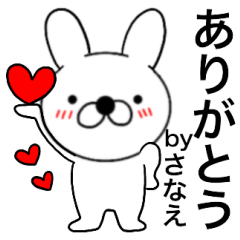 Name rabbit Sanae
