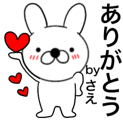 Name rabbit Sae