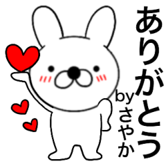 Name rabbit Sayaka