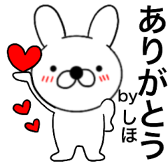 Name rabbit Shiho