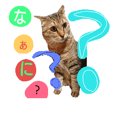nyan.nyan's