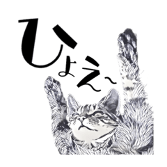 HAMA REAL CATS 2