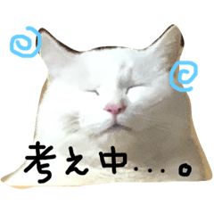 mii is idol of my home