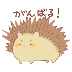 cuteHedgehog