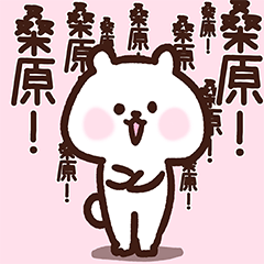 Kuwabara cute white bear