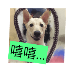 屁孩的生活