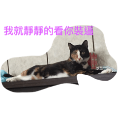 芽芽喵