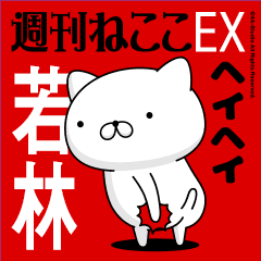 Move "WAKABAYASHI" name sticker feature