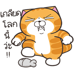 เหมียวซ่า: จอมหงุดหงิดโลก