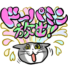 おつとめ仕事猫