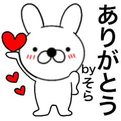 Name rabbit Sora