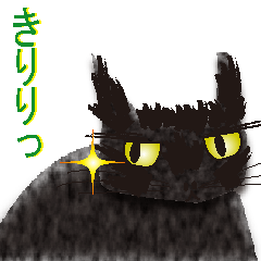 The cat black mako
