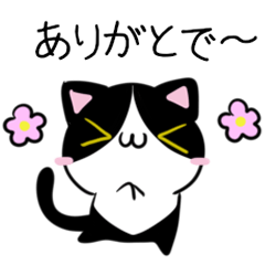 Cats & chicks of Sanuki dialect3