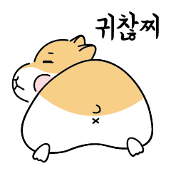 Daily life of hamster