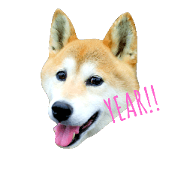 Aluf.H