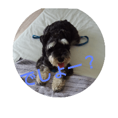 dog days with me 4