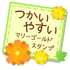 Flower-Marigold