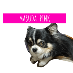 masuda pink chan