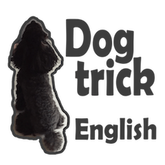 English teacher part 2 many dog tricks