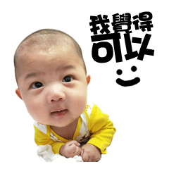 療癒小豪哥