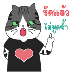 Happy Paws Family : Cats Khoo Boon!!