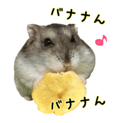 Hamster Chibi 3