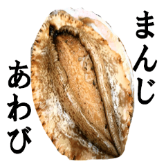 Abalone abalone