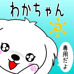 ♦️わかちゃん専用♦️使える名前スタンプ