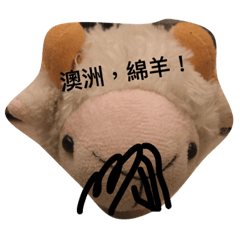 澳洲綿羊記