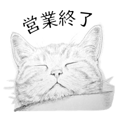 Stickers of cat's carefree comment(JPN)