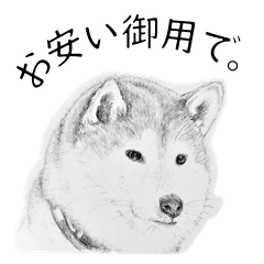 Stickers of dog's faithful comment(JPN)