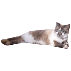 chibita stamp cat