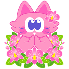 Sawasdee Cat สวัสดีแคท