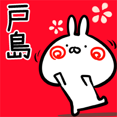 Tojima usagi Myouji Sticker