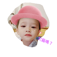 蔡蔡家
