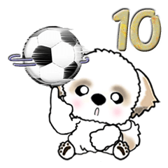 Shih Tzu dog (Football) vol.10