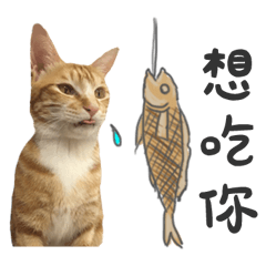 美味寵物 小sa魚