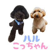 Haru&Kotchan