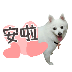 俊俏麥麥霹靂小戰士也來玩囉!