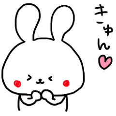 rabbit Honchan2