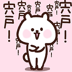 Shishido cute white bear