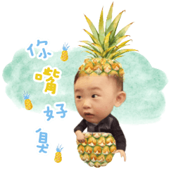 little pineapple life