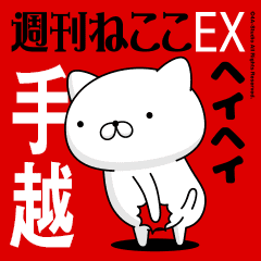 Move "TEGOSHI" name sticker feature